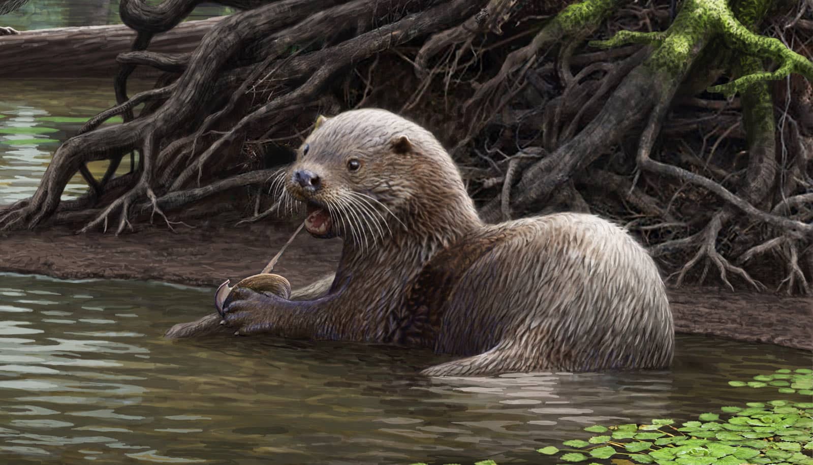 are otters predators