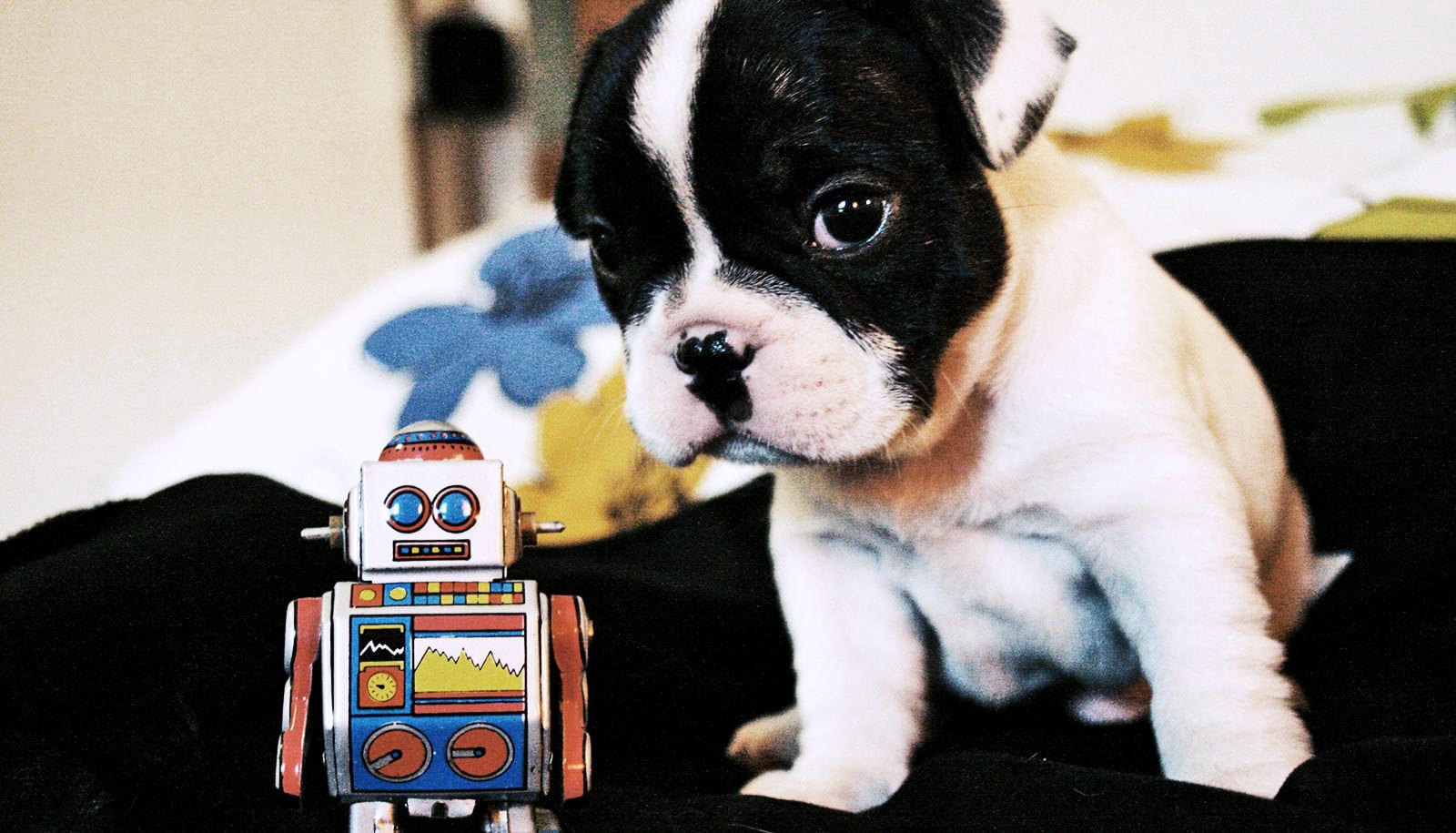 robot stuffed dog