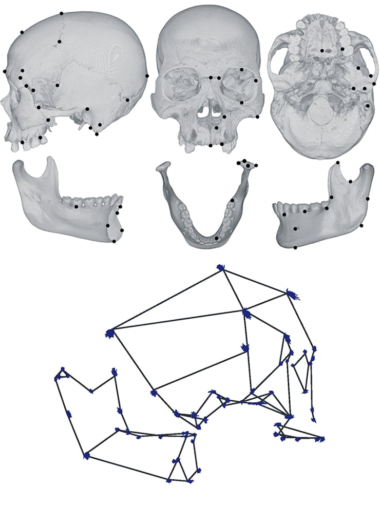 Skull Composite 740 Futurity