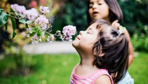 smelling a flower