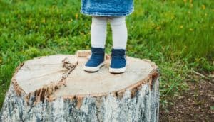 toddler on stump