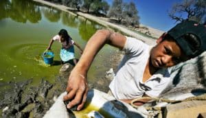 kids get water from green waterhole