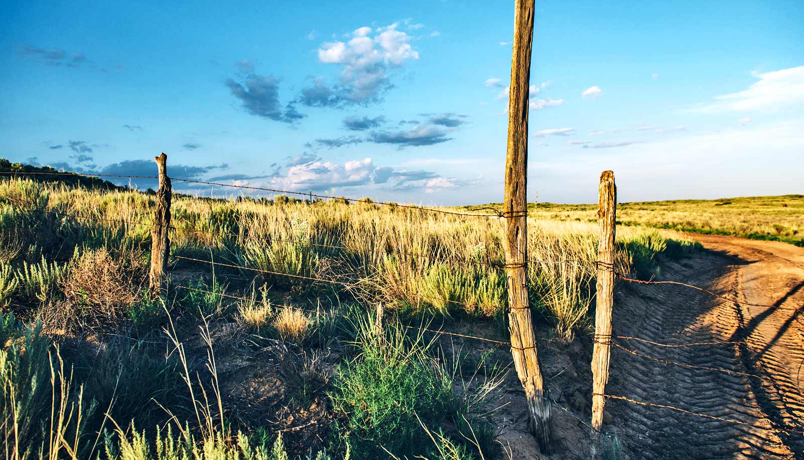 What Are The High Plains