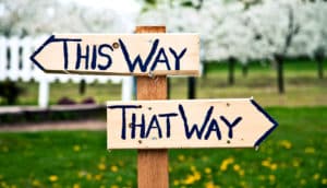 this way or that way (climate change concept)