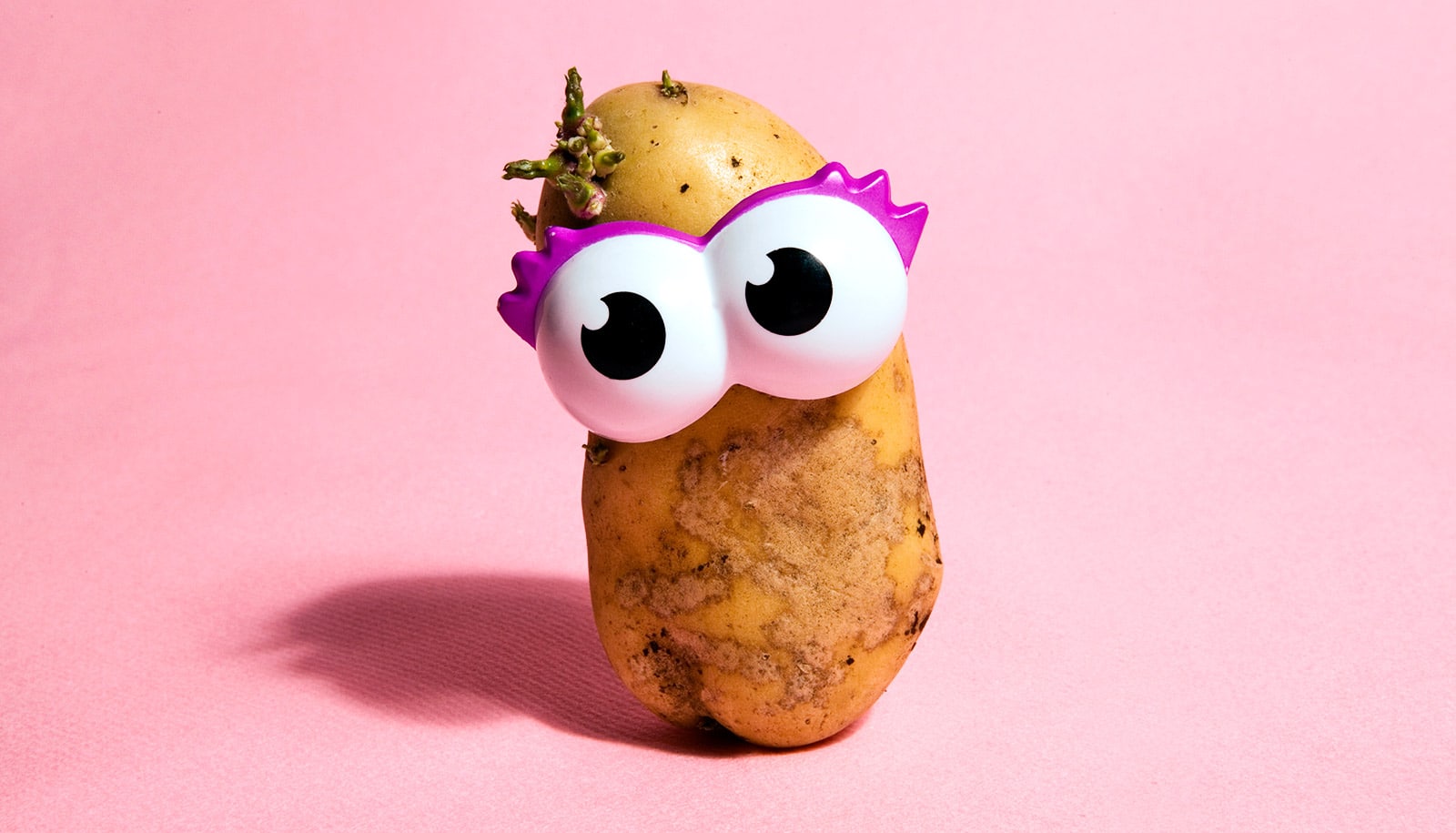 potato with eyes 1600