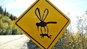 sign showing mosquito carrying a person