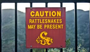 rattlesnakes sign