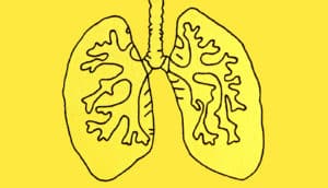 embroidered lungs on yellow