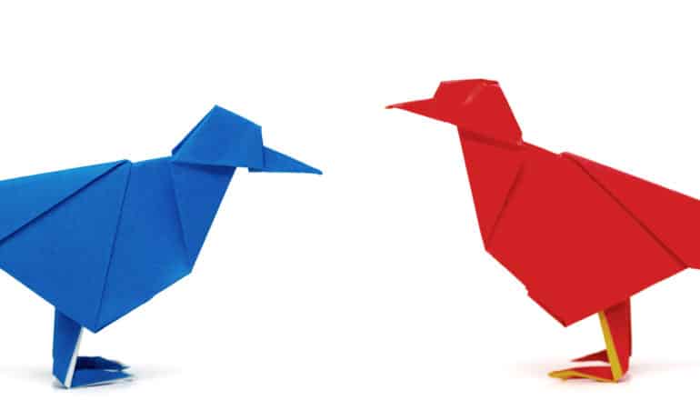 blue bird and red bird (twitter concept)