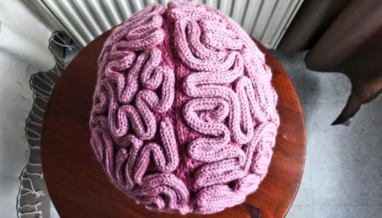 knitted brain cap (appetite concept)