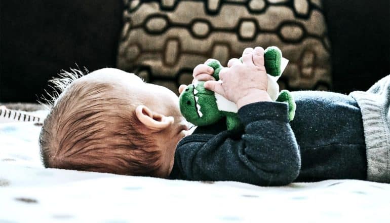 A baby lies on its back on a white blanket holding a dinosaur stuffed animal