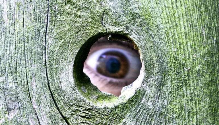 an eyeball looks through a hole in a wooden fence with shock