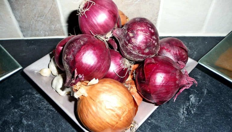 A plate in a kitchen with onions and garlic