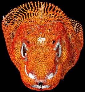 The komodo dragon's boney armor is visible in orange, with small pieces forming a greater whole