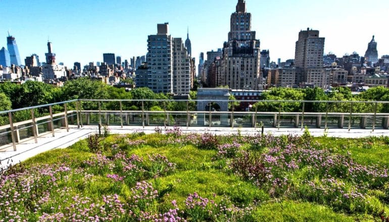 Grass and flowers cover the rooftop, which looks out onto a view of New York City