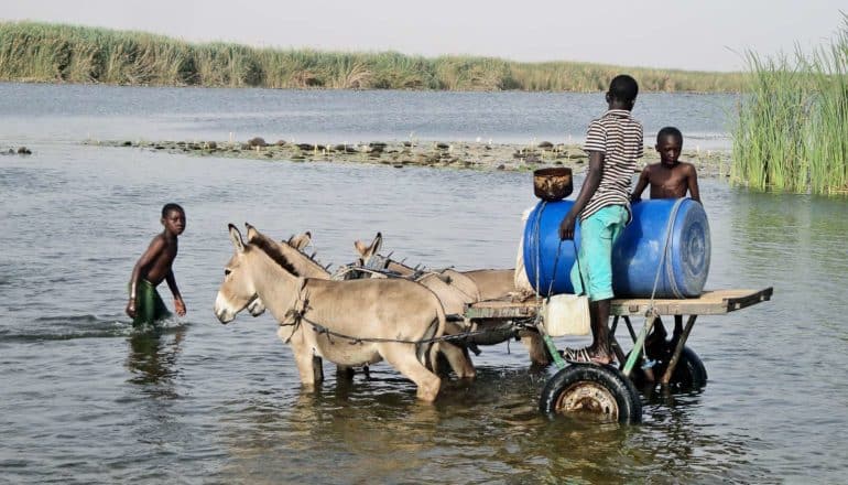 Young boys ride a donkey cart through a river to fill it with water