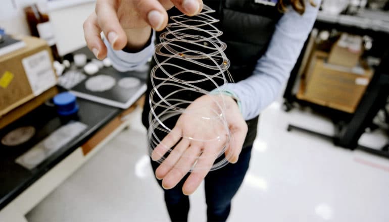 A researcher stretches the sensor patch into a Slinky-like lattice