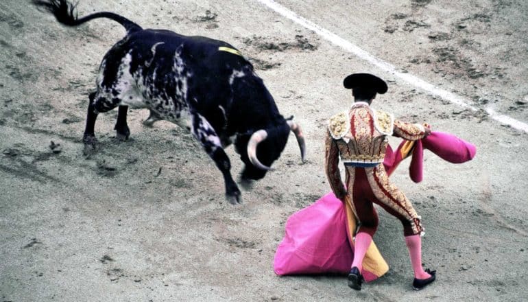 A bullfighter waves a pink cloth in front of a charging bull, as he moves to get out of the way