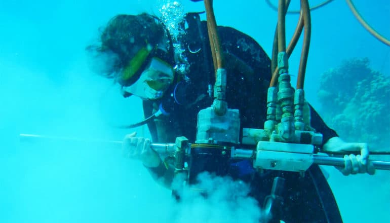 Underwater in scuba gear, Cobb drills down into corals