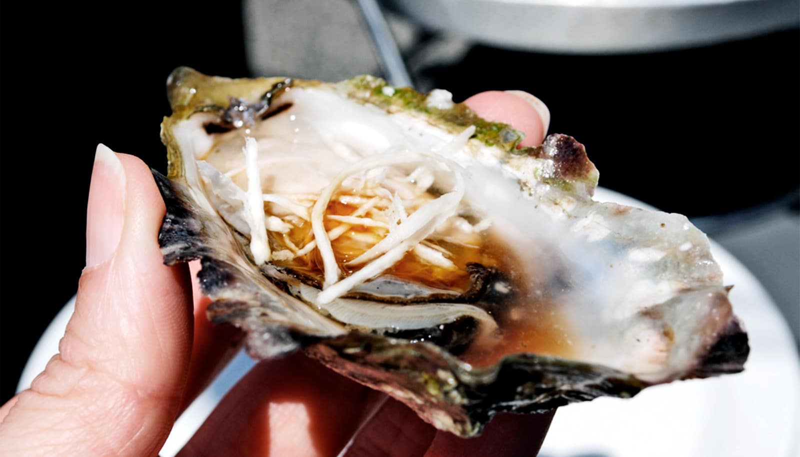 Eating oysters in 'R months' rule is 4,000 years old - Futurity
