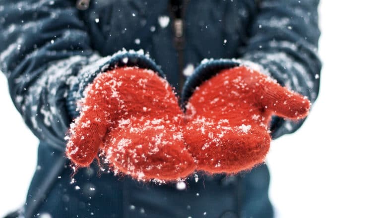 A person in a black jacket and bright red gloves lets snow fall into their hands