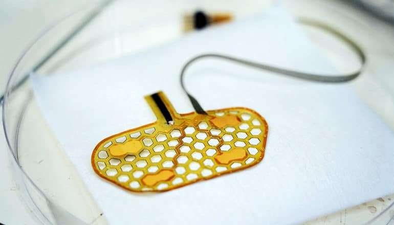 The orange and yellow device sits on a white surface inside a petri dish