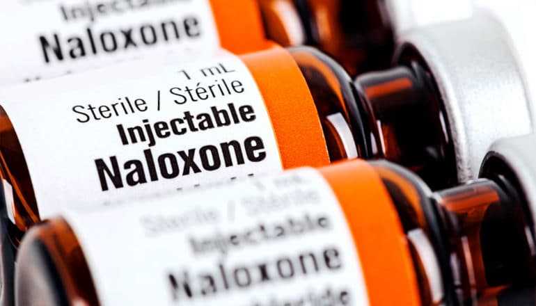 3 vials of naloxone sit on a white background with their labels visible reading "injectable Naloxone."