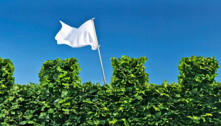 A white flag waves from behind a ivy-covered castle wall