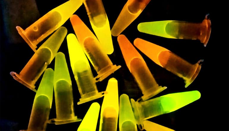 Several small tubes sit with glowing yellow, orange, or green liquid inside sit on a dark background