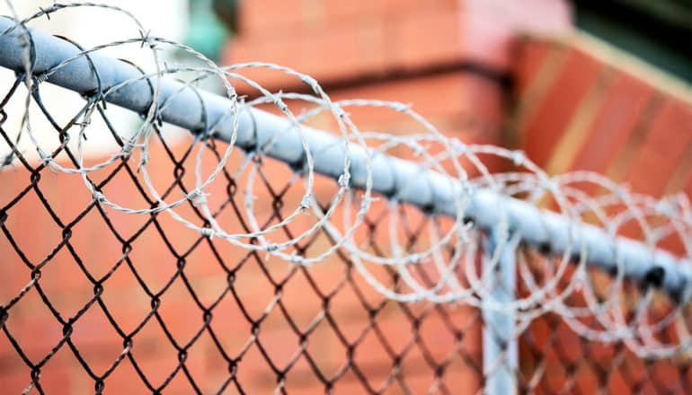 Barbed wire coiled at the top of a fence