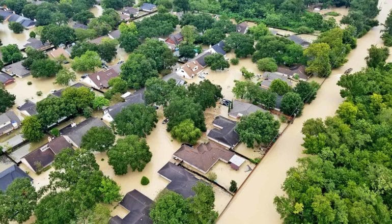 roofs and trees in flooded neighborhood