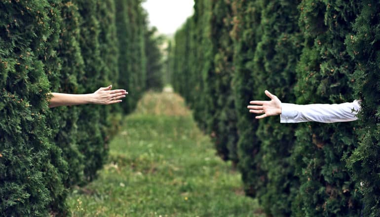 Two people reach their arms out of a hedge to reach across a grassy gap