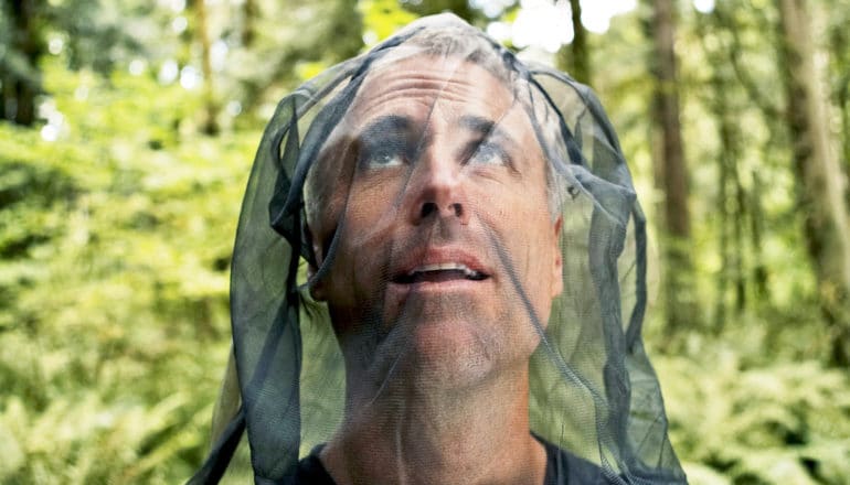 person looks up within mosquito net