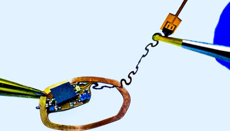 The tiny device looks like a microchip with a circular bit of copper-colored wire running around it, with a long, twisty black wire running to a smaller gold-colored chip