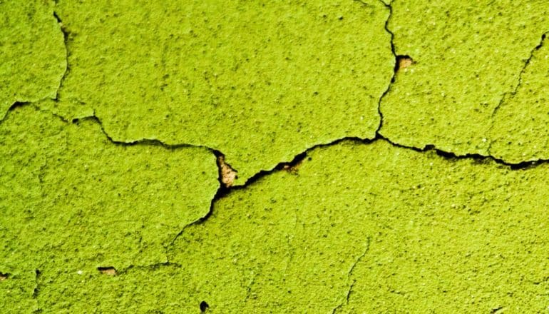 cracks in green surface