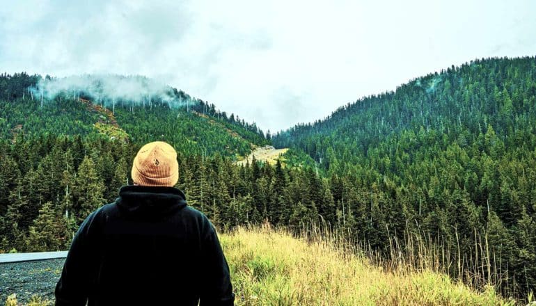 rear view of person in winter cap looking at pine forest/mountain landscape