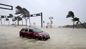 abandoned SUV in flood water near traffic lights and palm trees