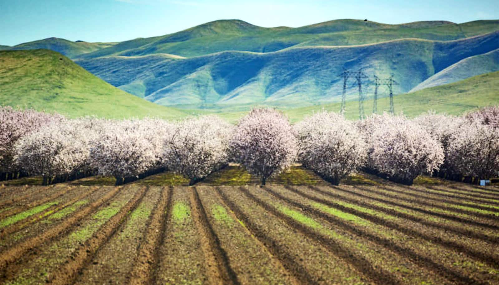 great-facts-california-s-strict-air-pollution-laws-are-good-for-farmers