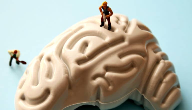 Small figures do construction work on a model of a brain