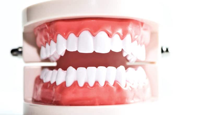 A set of fake teeth with pink gums sit on a white background