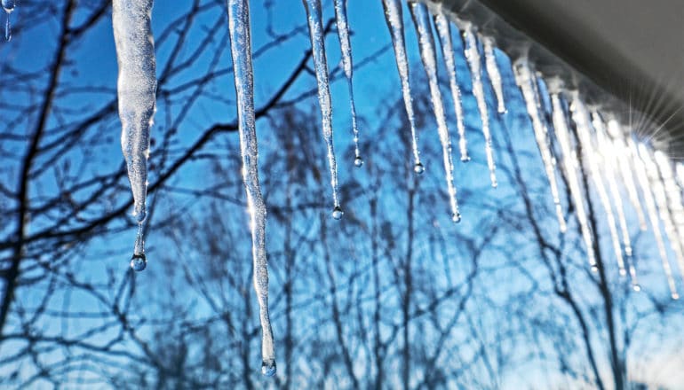 Icicles hang off a roof against a bright blue sky and tree branches