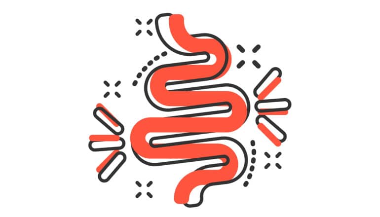 cartoon diagram of intestine with emphasis lines and dots