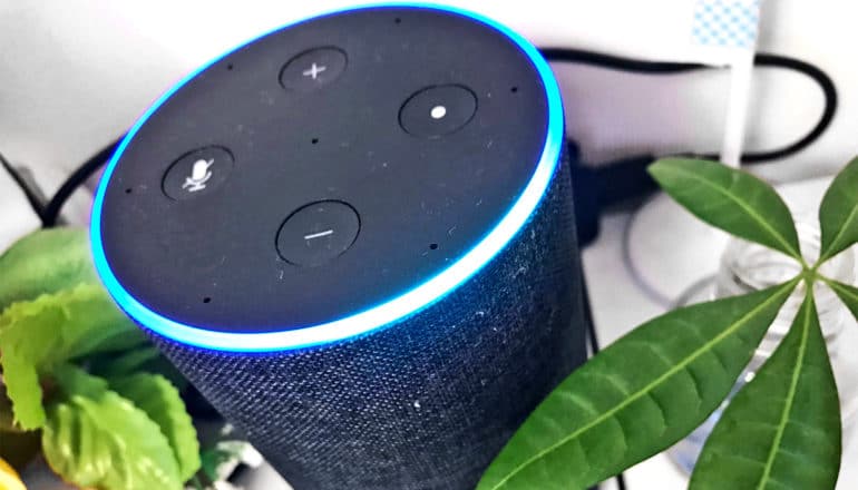 An Amazon echo speaker sits on a shelf with plants