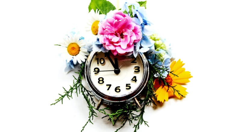 A clock has leaves and flowers surrounding it