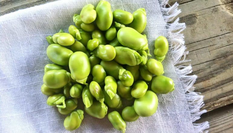 pile of green beans on white cloth on wood surface