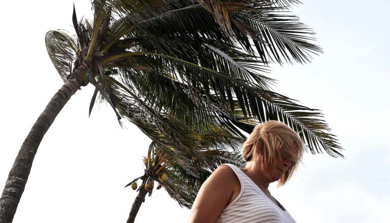 A woman walks past palm trees bent by hurricane winds