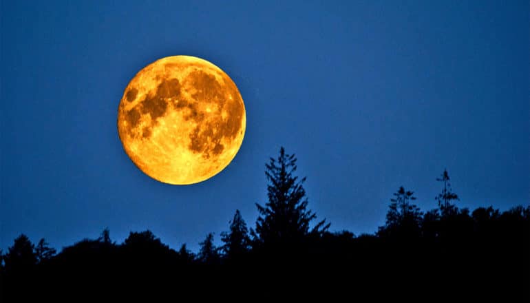 The moon looks orange in a deep blue sky