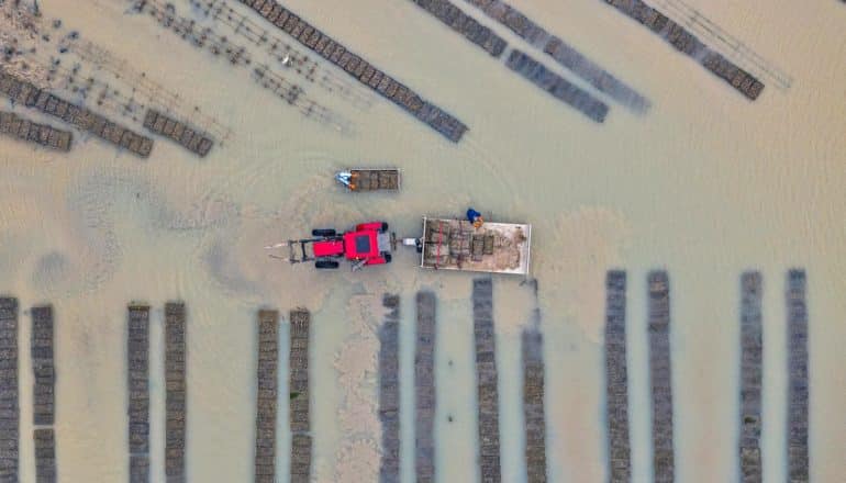 tractor and oyster farm from above