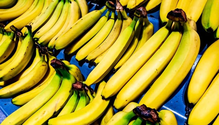 Bananas sit on a blue grocery store shelf