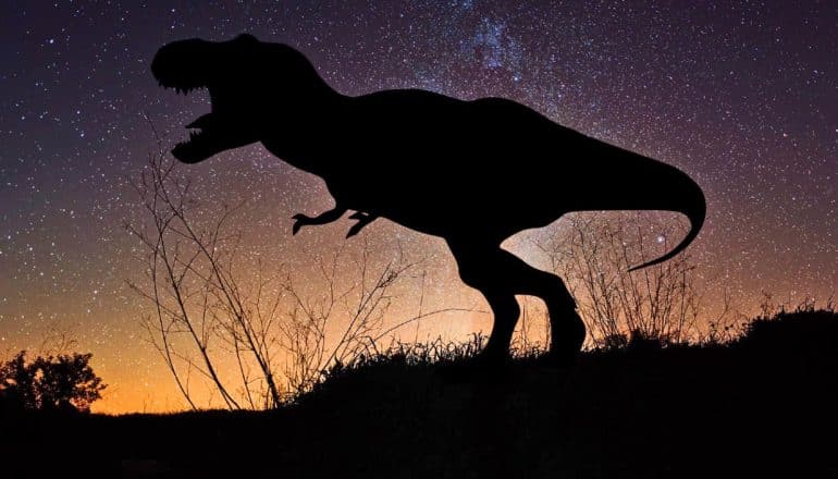 Tyrannosaurus rex in silhouette